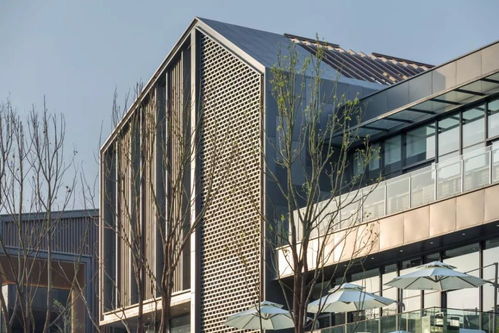 商业步行街建筑规划设计 重庆万科彩云湖生活广场 方案
