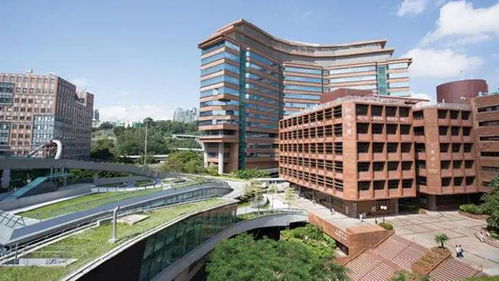 成都大学的收分,电子科大的层次 2023艺考生们,格局打开,港澳这些院校性价比更高 本科 高校 艺术生 重点大学 网易订阅