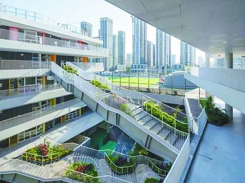 颠覆想象 国内外知名建筑师让深圳校园 不一样