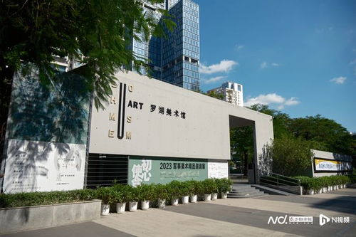 罗湖美术馆迎来升级改造 工程建筑设计国际竞赛公告发布